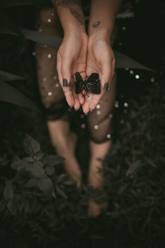 alexander-mass-in8zhspmcxc-unsplash-333x500-1
